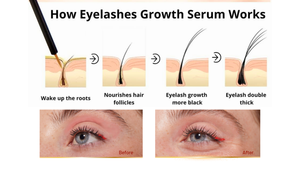 How Eyelash Growth Serum Works 