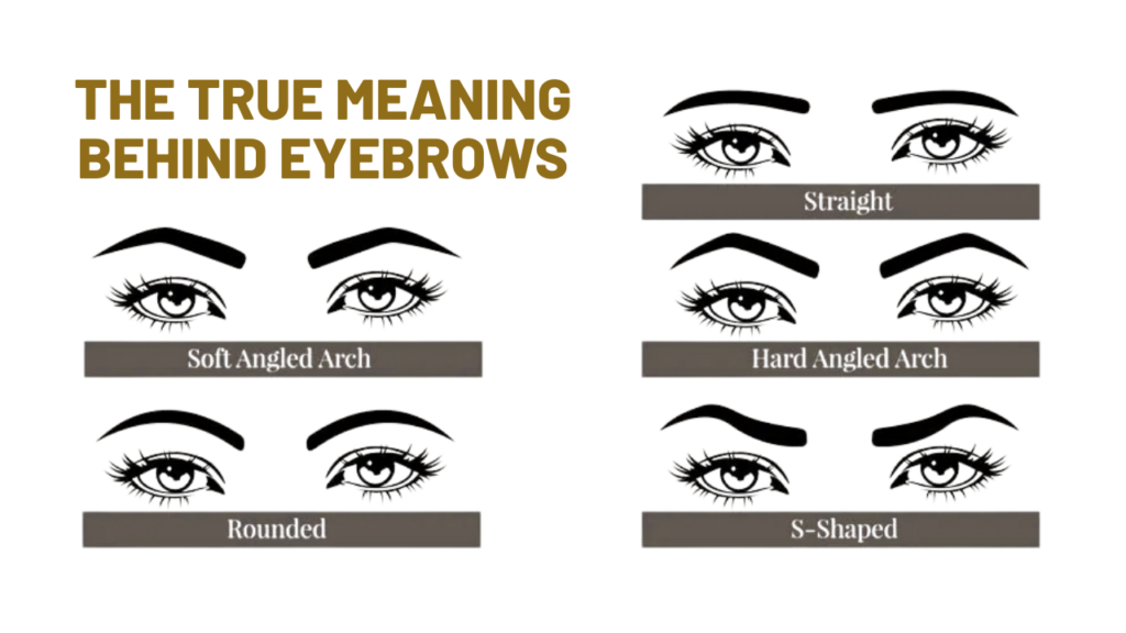 The True Meaning Behind Eyebrows