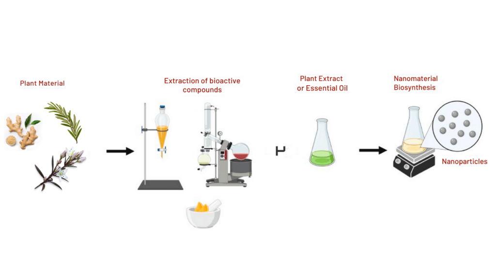 Process of obtaining natural extracts