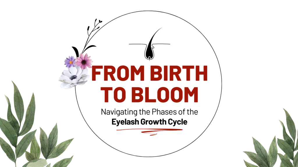 FROM BIRTH TO BLOOM: NAVIGATING THE PHASES OF THE EYELASH GROWTH CYCLE